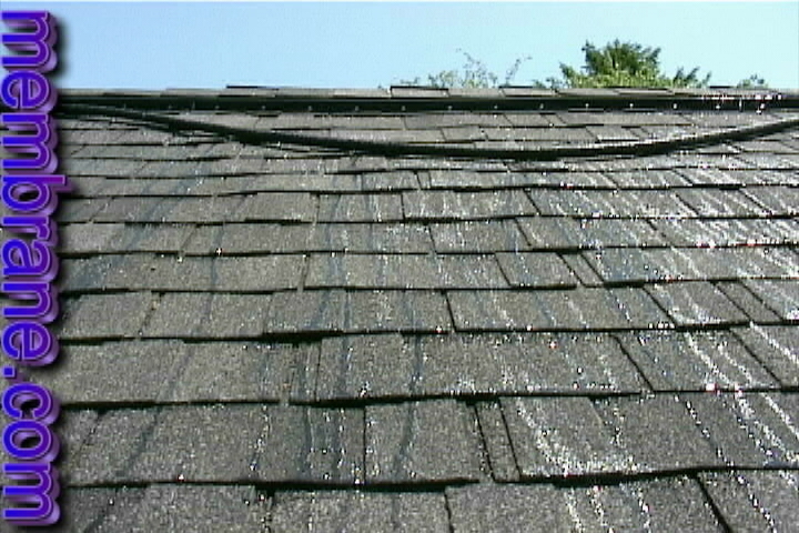 example of a soaker hose evaporating water on a roof