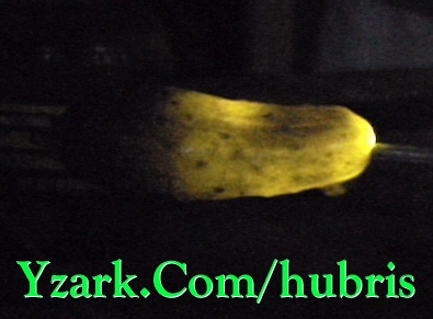 Electric Pickle Experiment